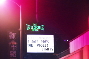 WE ARE THE VIOLET LIGHTS