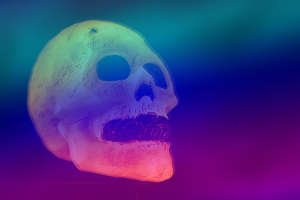 The Violet Lights skull
